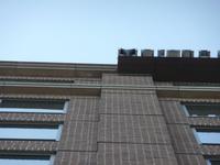 Morgan Stanley Patterson Signs 7-18-10 010.jpg
